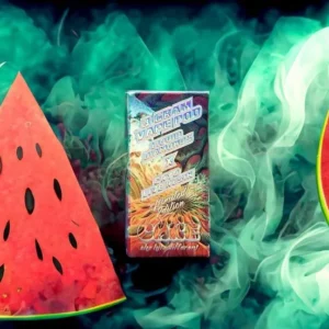 Watermelon Wave 3G Cake Disposable